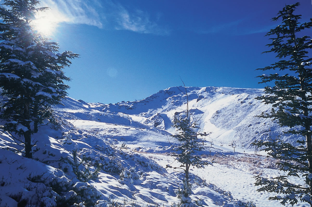 actividades en el valle de ricote