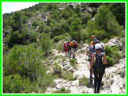 piragua el valle de ricote